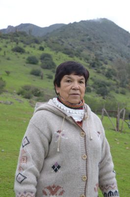 Ana Irrazábal, cantora y poeta de Villa Alhué, comuna de Alhué